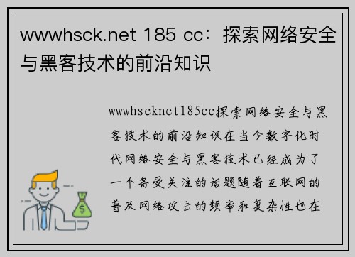 wwwhsck.net 185 cc：探索网络安全与黑客技术的前沿知识